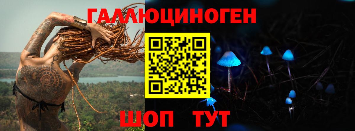 Галлюциногенные грибы Magic Shrooms  Вход с VPN  купить наркотики сайты  Кудрово 